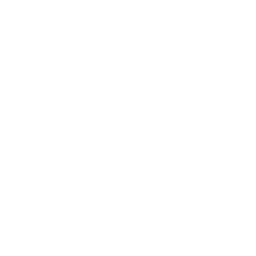 CodeCleanse logo